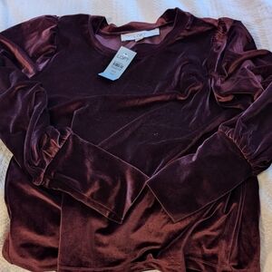 Rich velvet maroon puff sleeve top NEW WITH TAGS